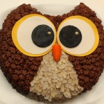 owl cake for Martin